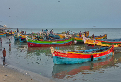 Fisheries Department - Tamil Nadu