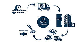 coldChain